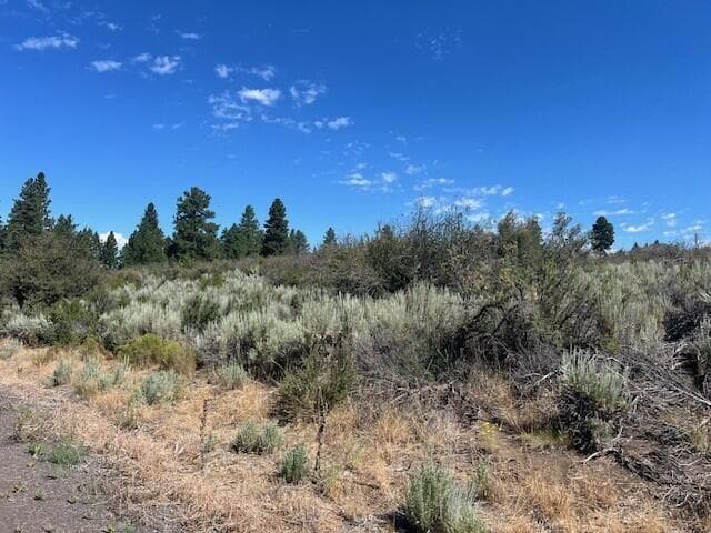 Photo of Wrightwood 2 of 3