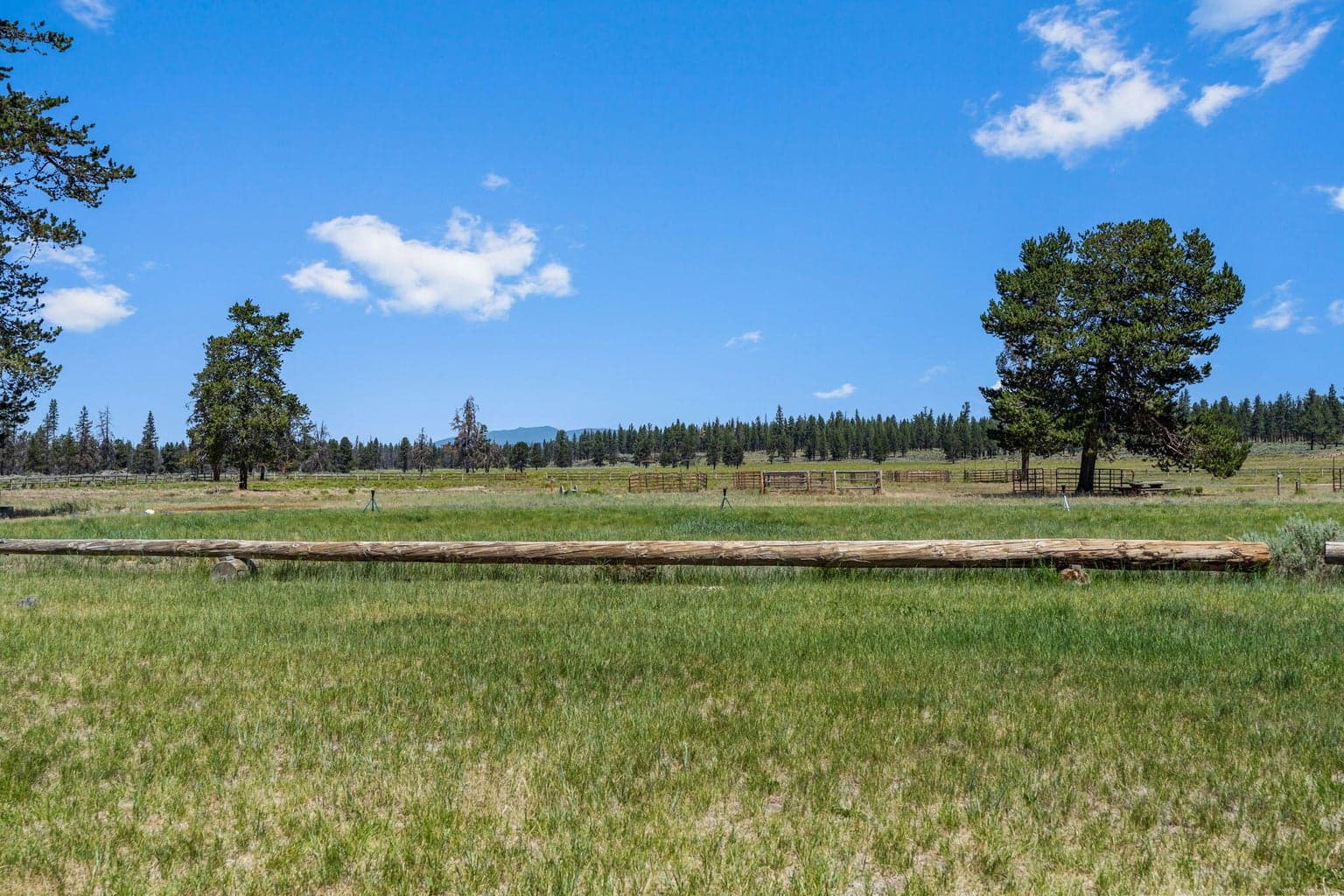 Meadow view from dining room window