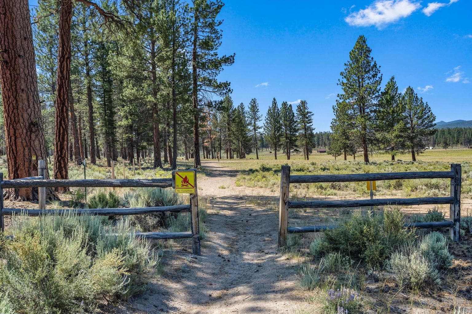 Looking back at the property from National Forest