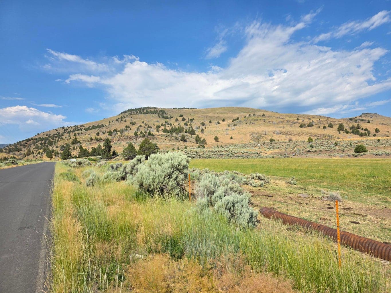 Photo of The Town Site 5 of 11