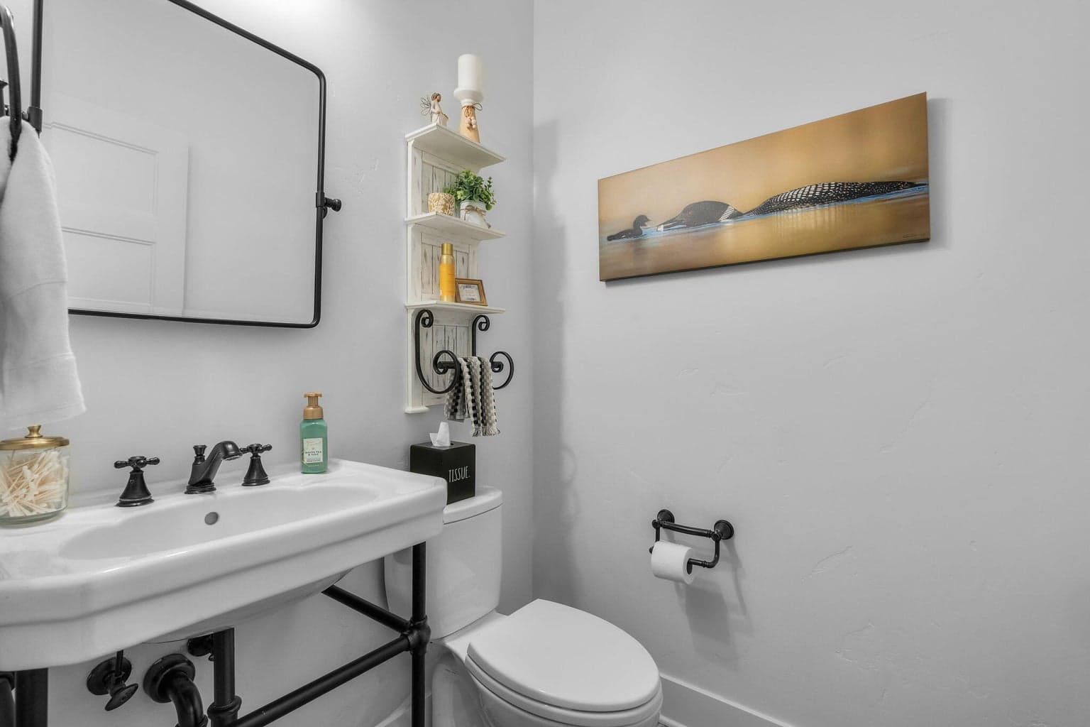 Guest powder room downstairs