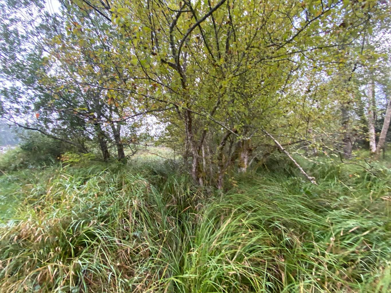 Photo of 000 Dellmoor 3 of 12