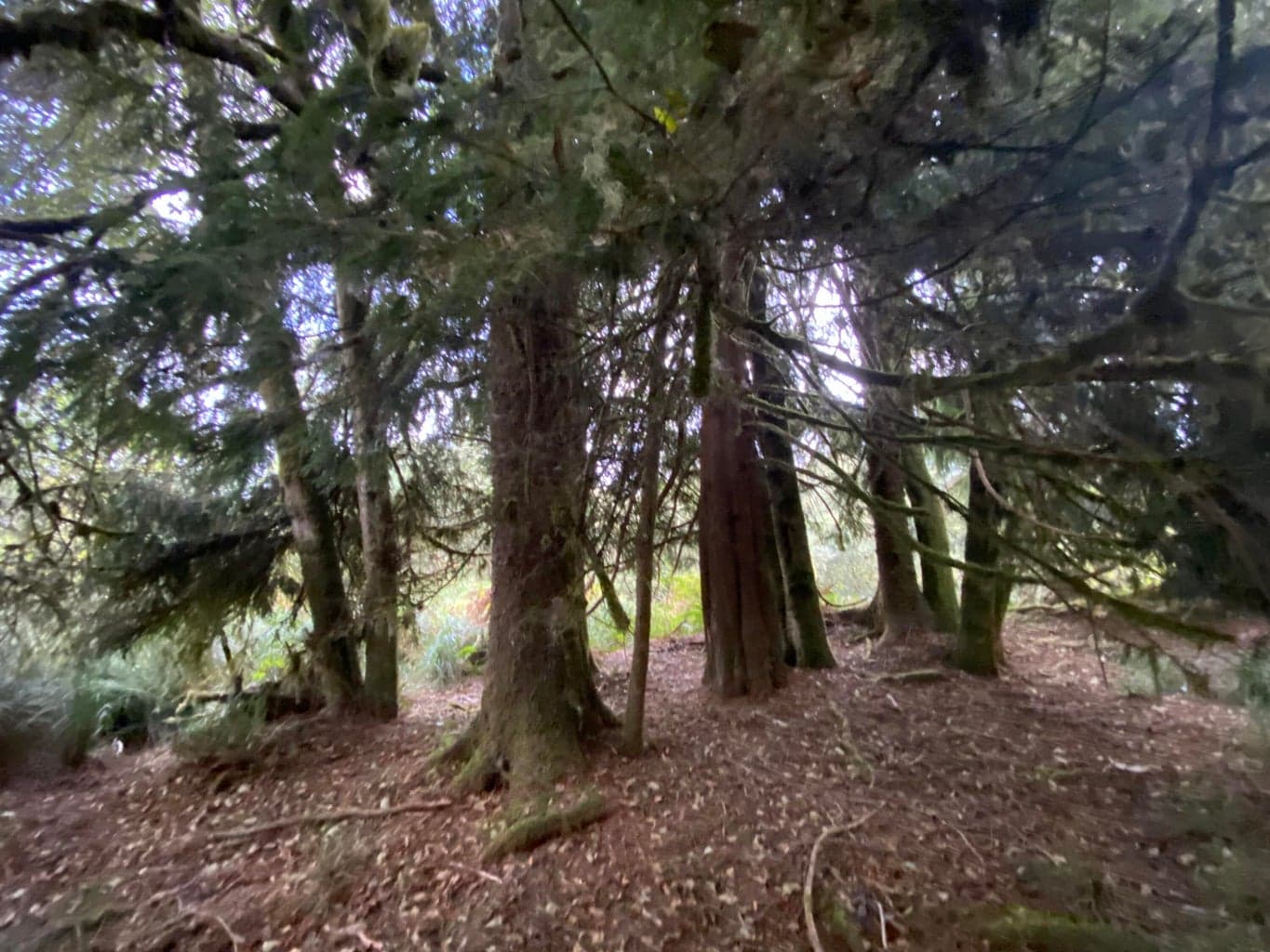 Photo of 000 Dellmoor 1 of 12