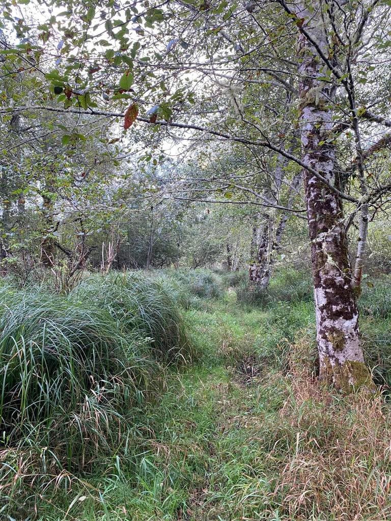 Photo of 000 Dellmoor 4 of 12