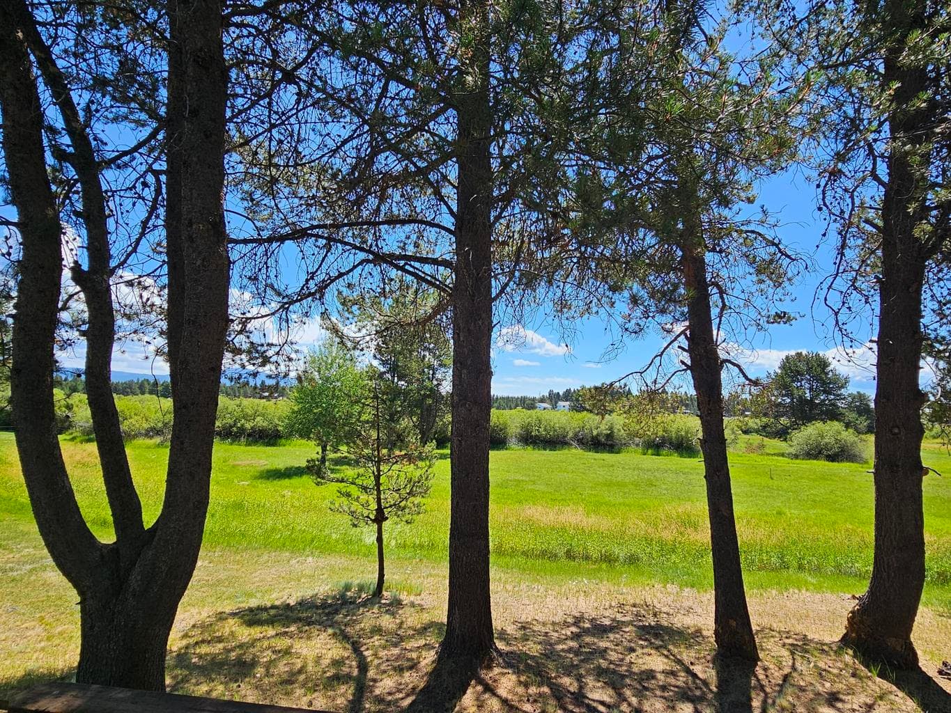Photo of 52844 Timber Lane 4 of 30