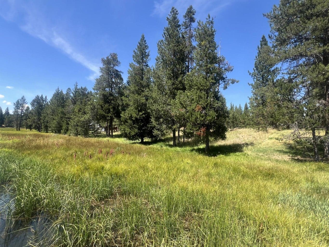 Photo of 17281 Merganser Drive 7 of 17