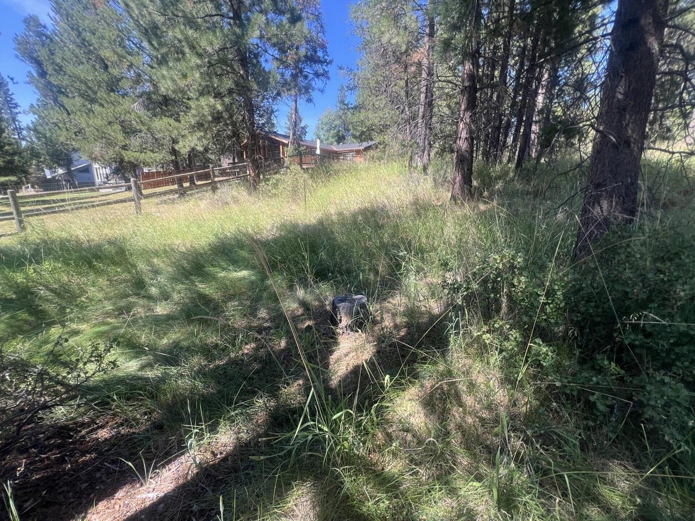 Photo of 17281 Merganser Drive 13 of 17