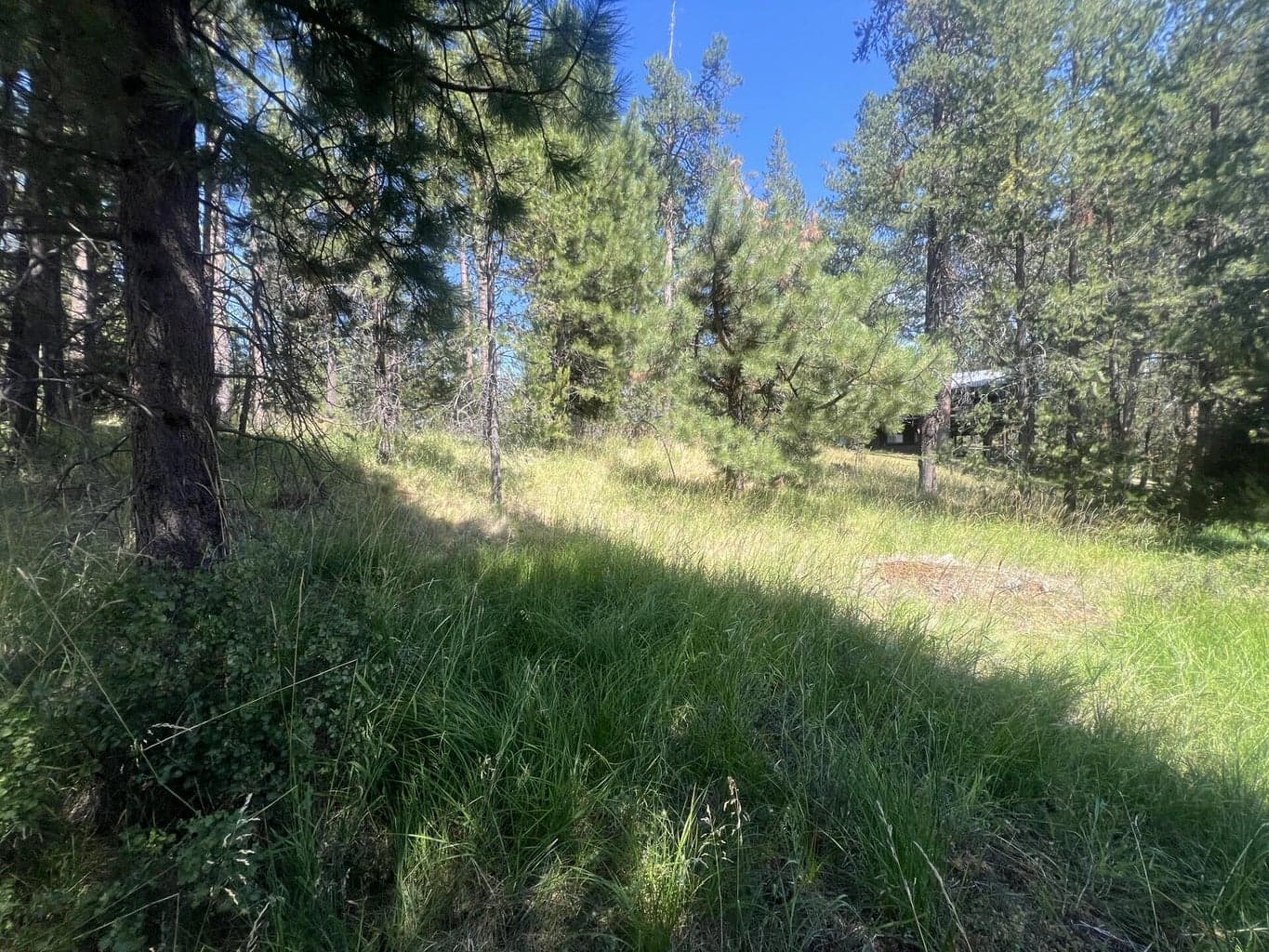 Photo of 17281 Merganser Drive 14 of 17