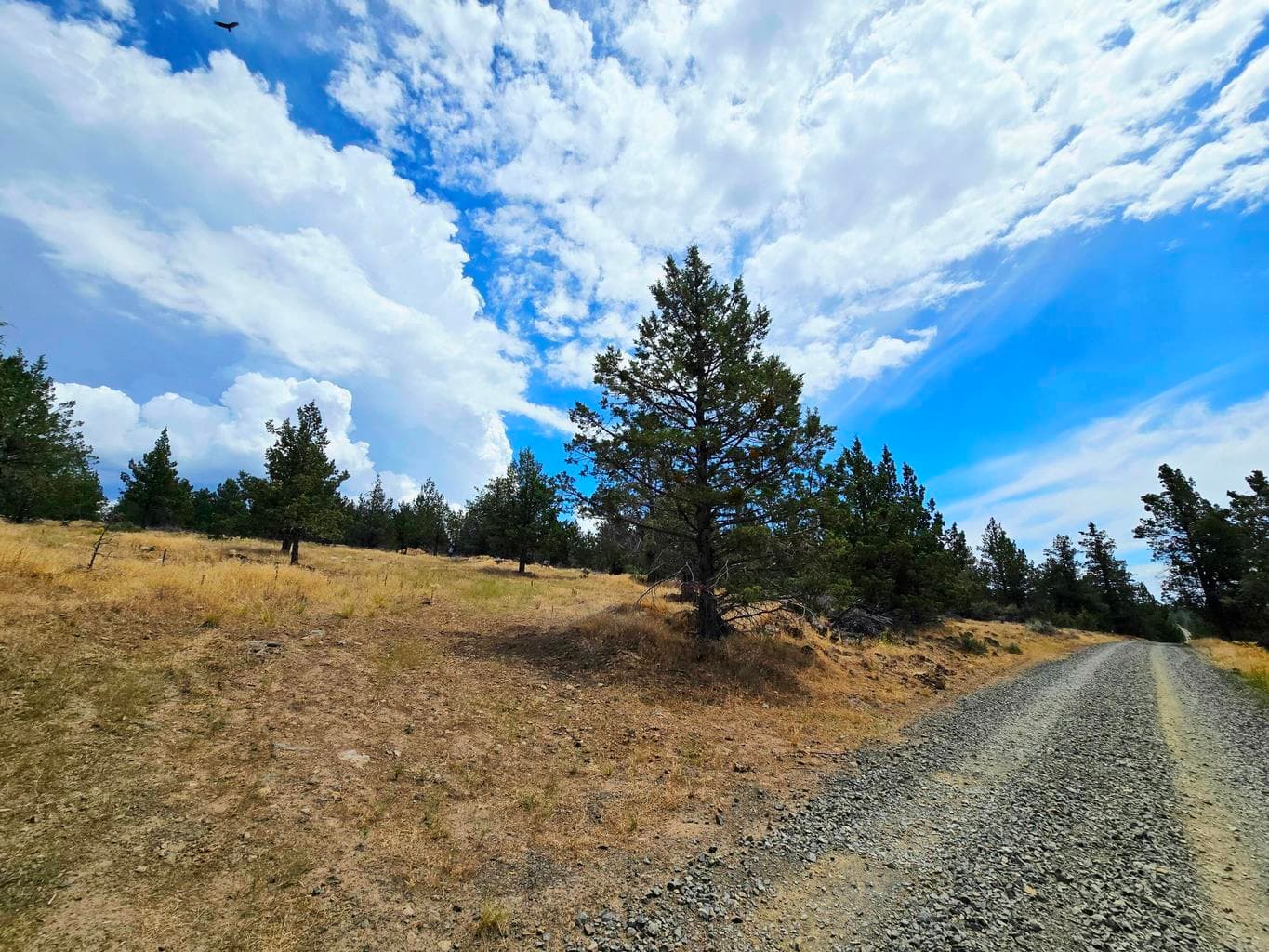 Canvasback Rd. and Property to the Left