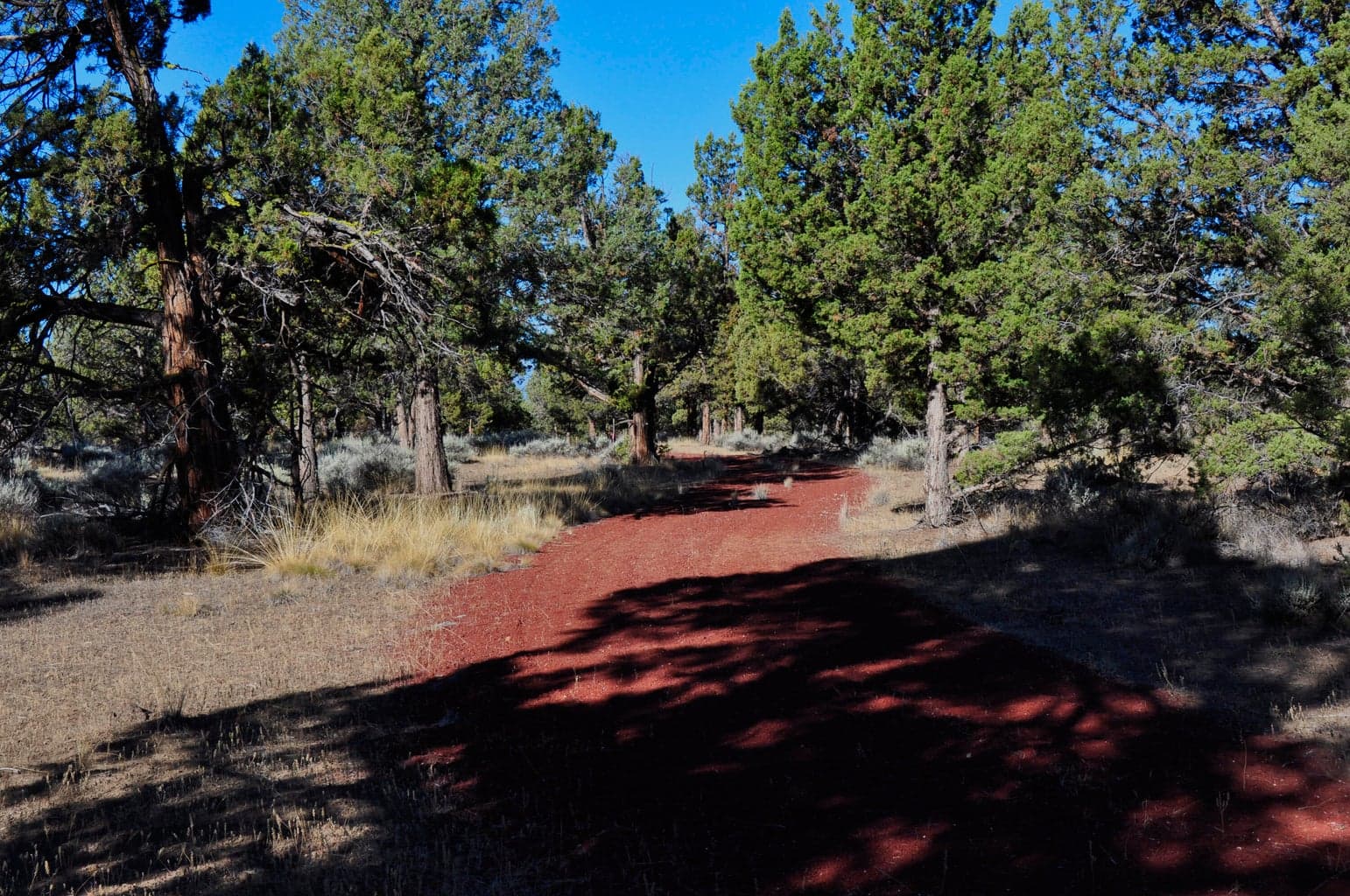 Driveway coming in off of Fryrear Road.
