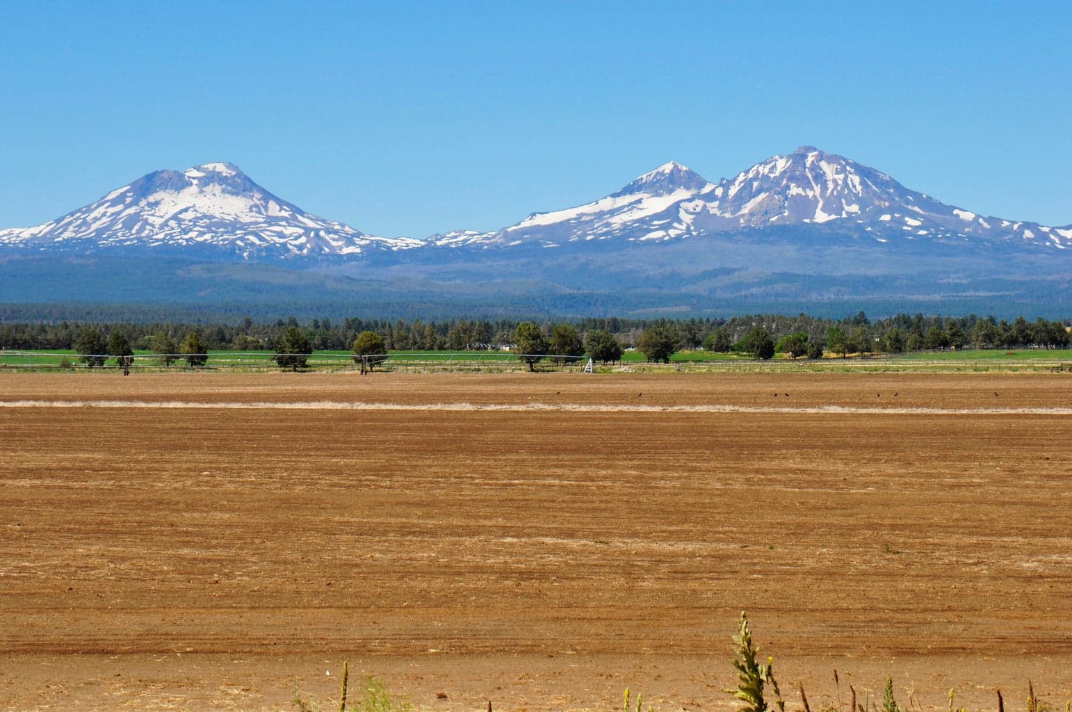 Three Sisters Mountains. Field in foreground is freshly planted and not greened up yet.