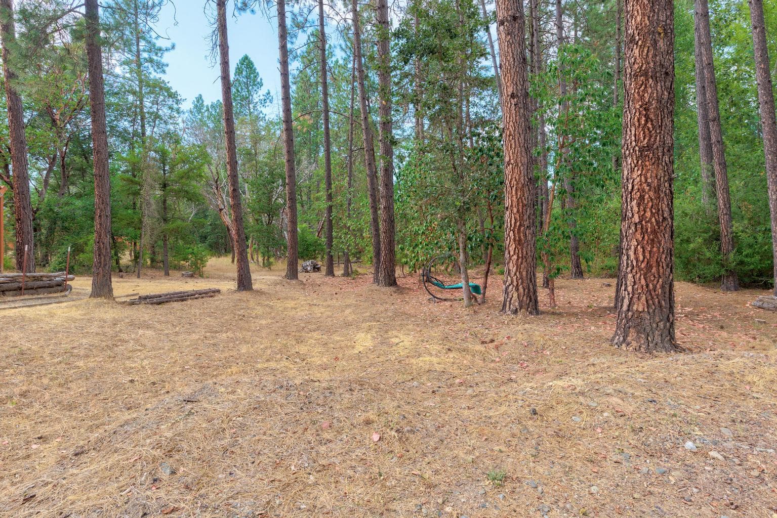 4529 Evans Creek