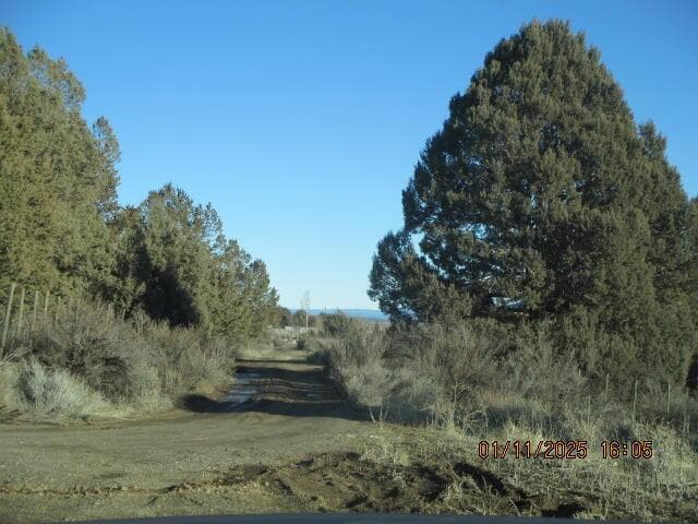 Photo of 0 Clearwater 5 of 12