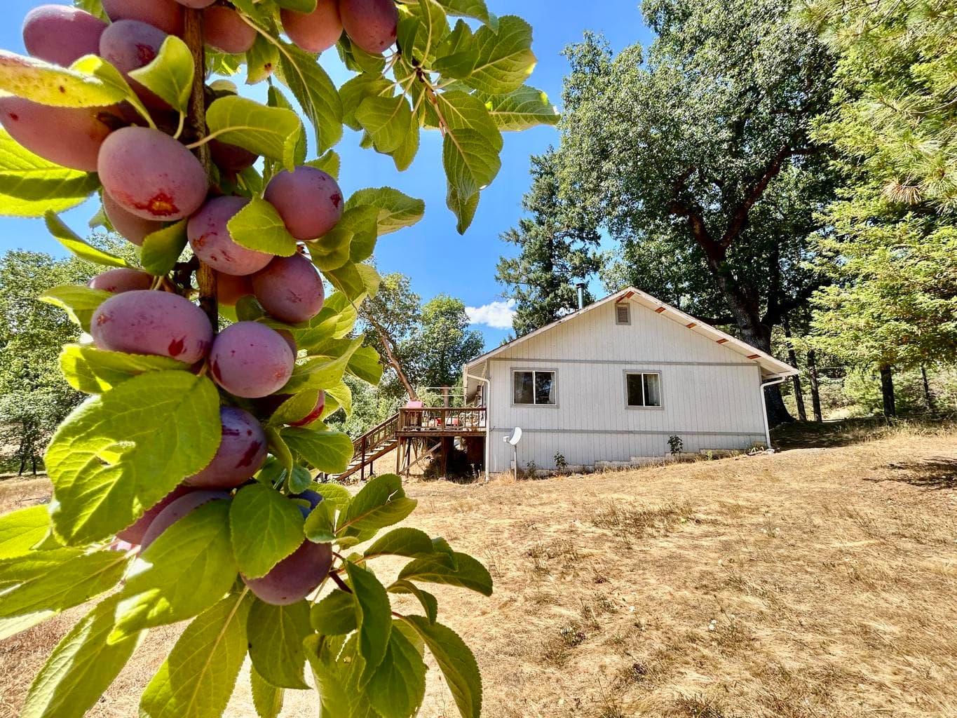 Photo of 467 Draper Valley 4 of 21