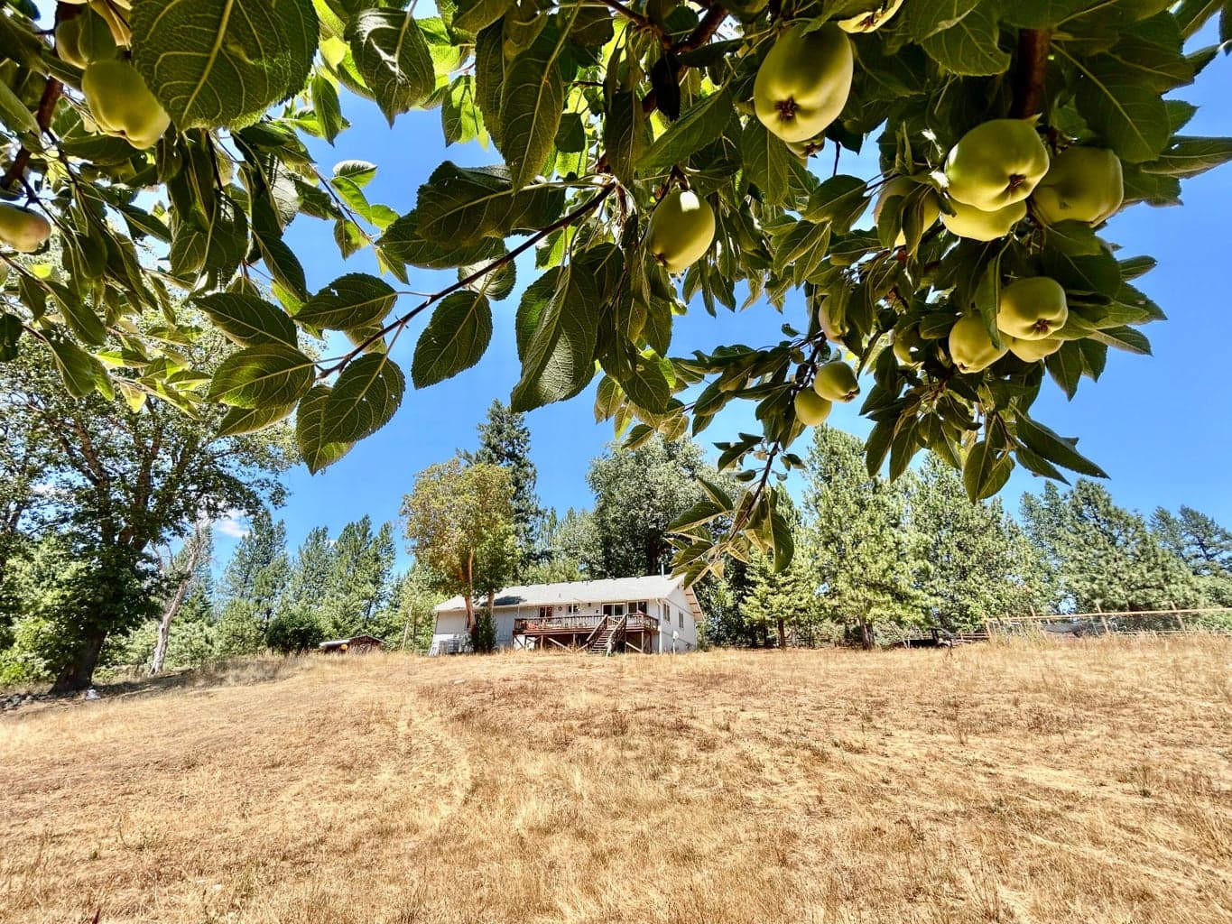 Photo of 467 Draper Valley 5 of 21