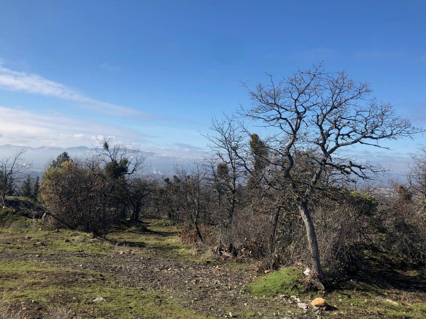 2410 Foothill