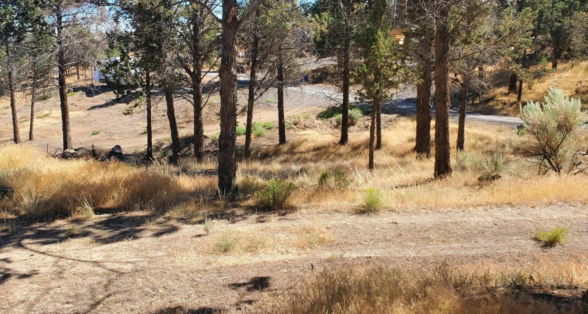 Photo of Circle 5 of 11