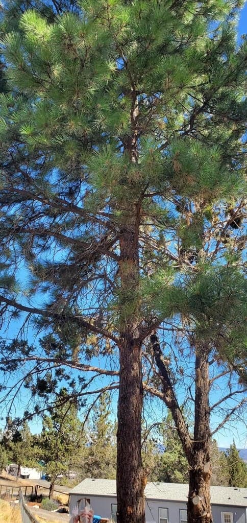 Photo of Circle 3 of 11