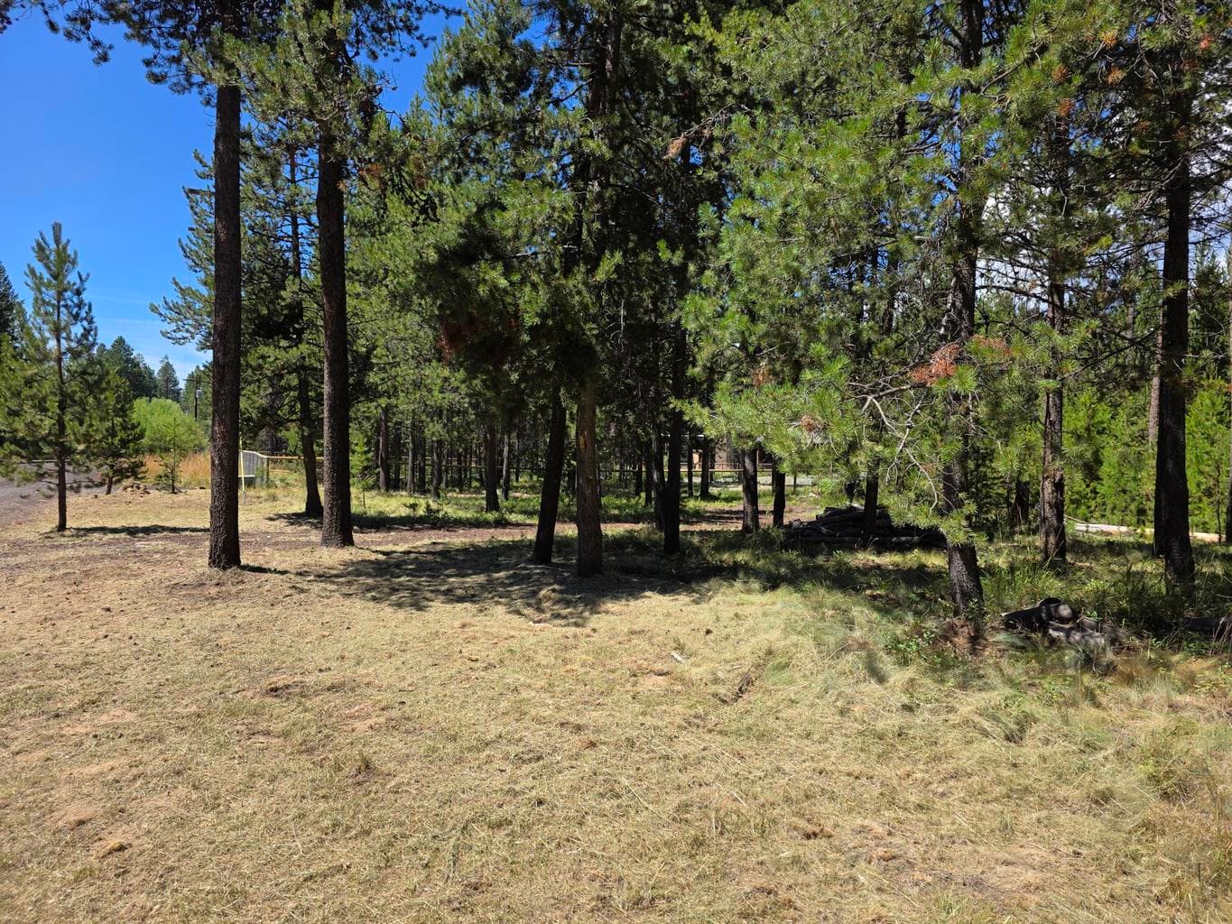 Photo of 17168 Azusa Road 6 of 16