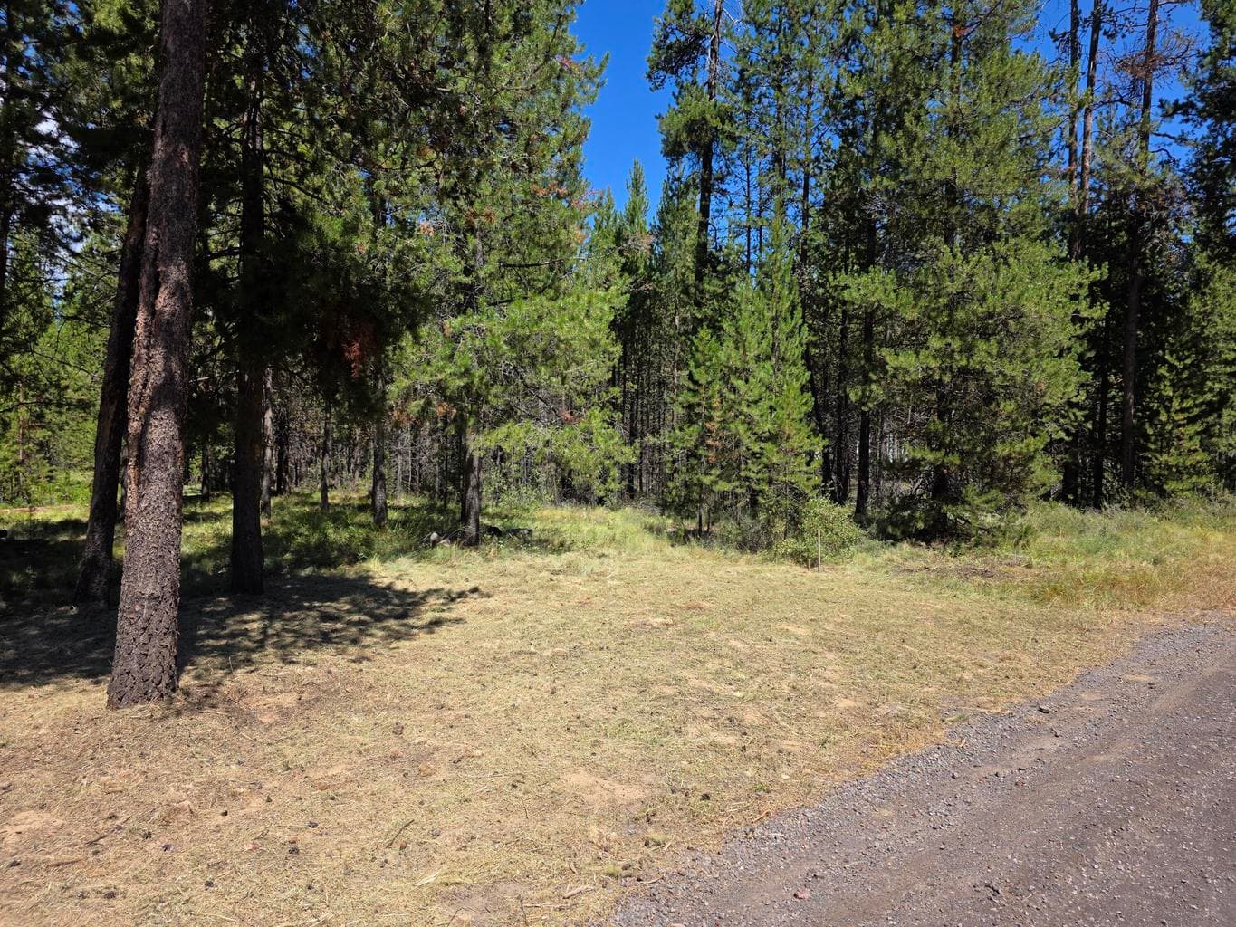 Photo of 17168 Azusa Road 10 of 16