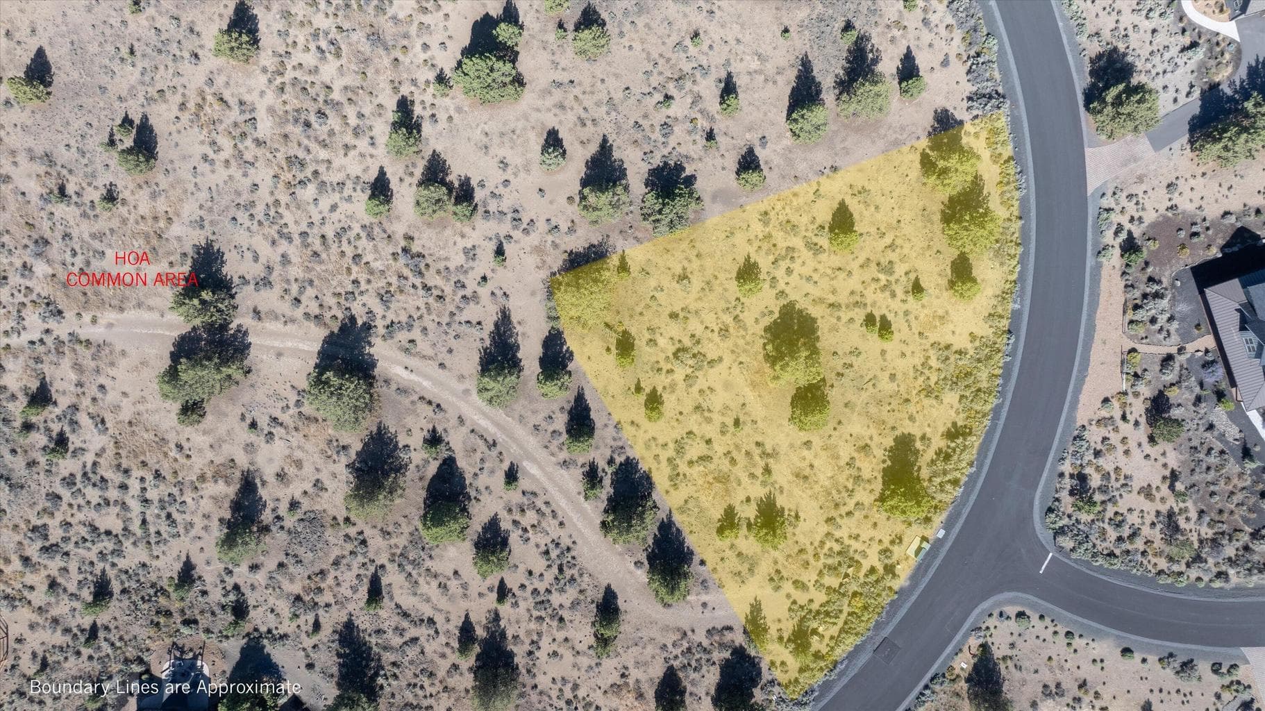 Photo of Chaparral 4 of 14