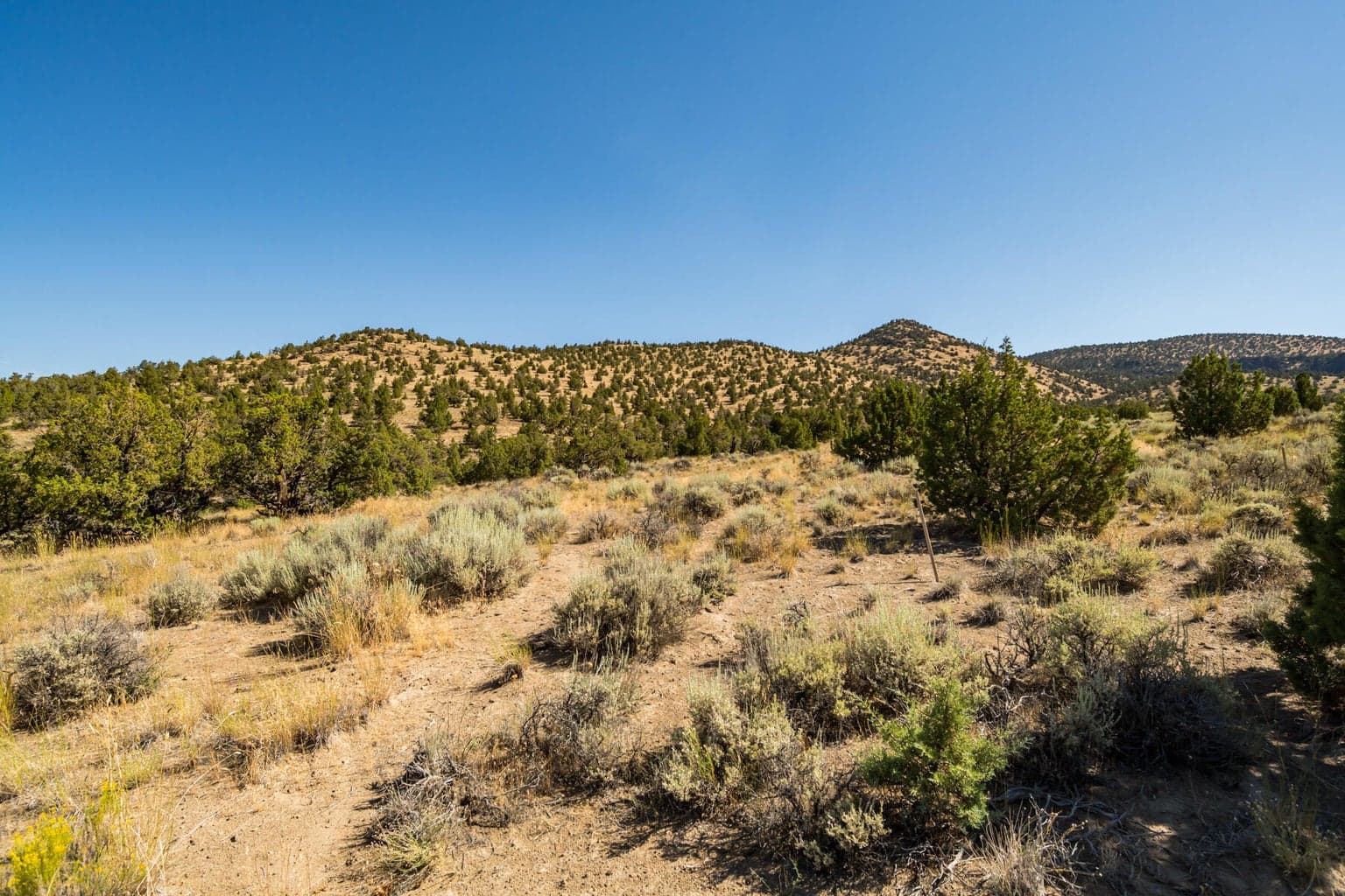 Photo of SW Spirit Rock Drive 12 of 42