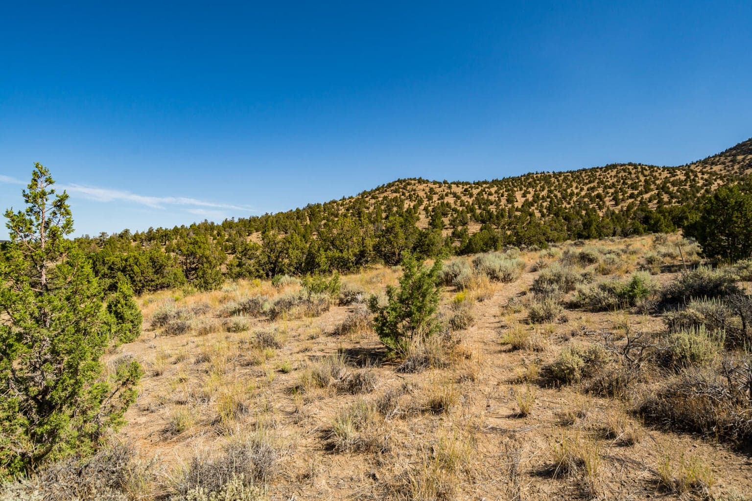 Photo of SW Spirit Rock Drive 13 of 42