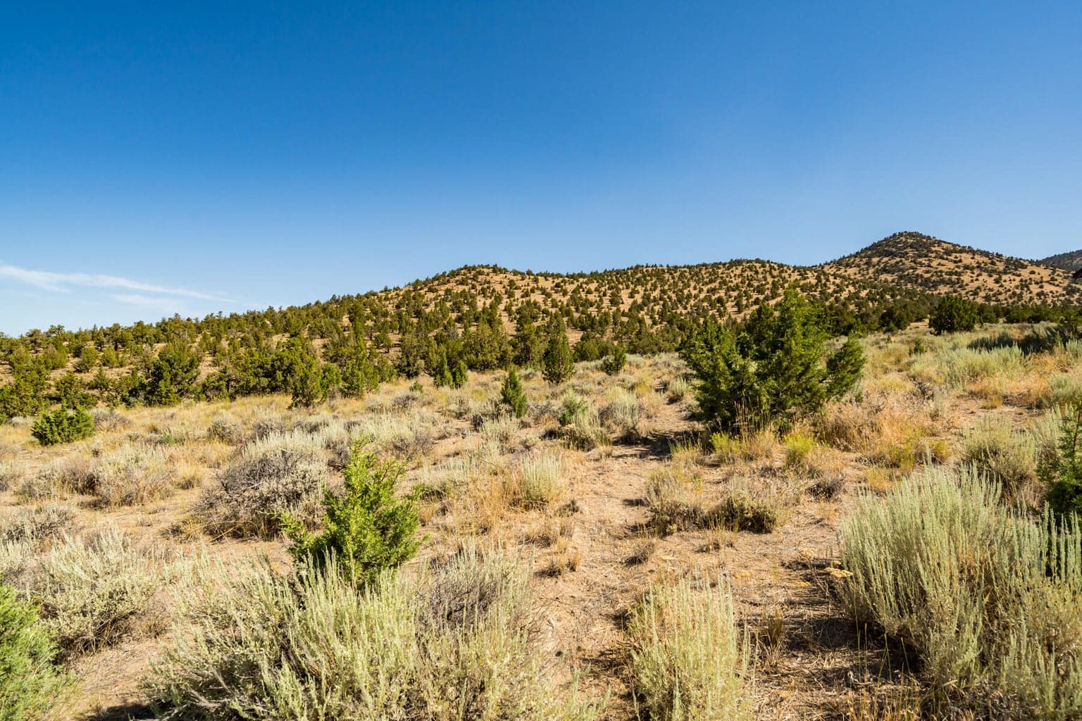 Photo of SW Spirit Rock Drive 16 of 42