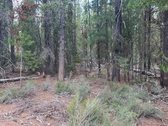 400 Hwy 58, Crescent Lake, 97733