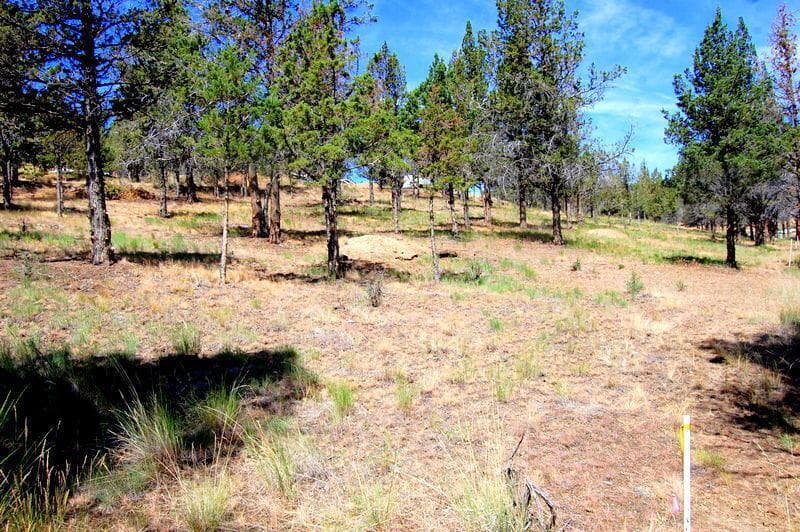 Photo of TL 700 Irvine 2 of 36