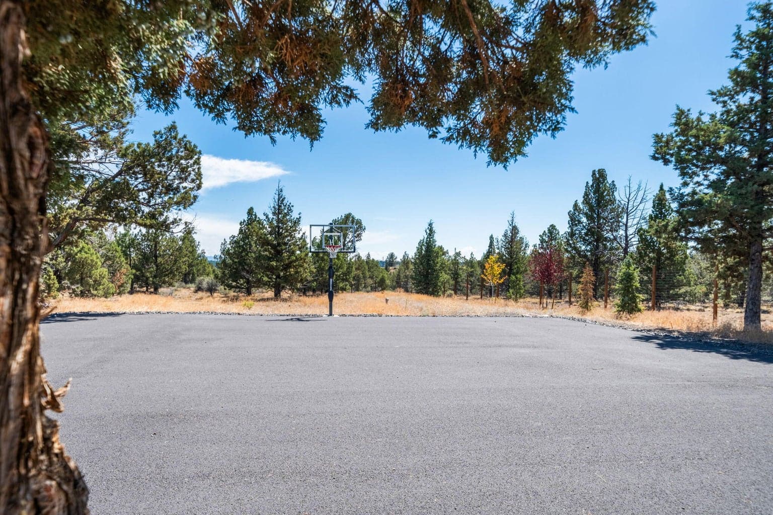 Photo of 64810 Bill Martin Road 77 of 84