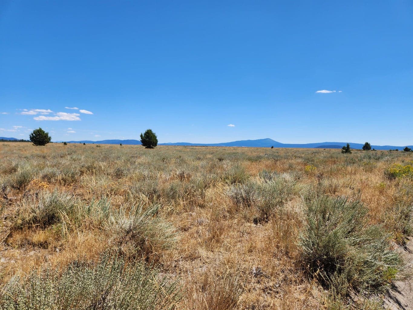 Photo of Tableland 3 of 20