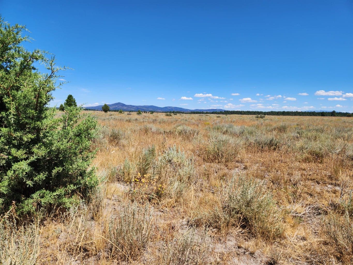 Photo of Tableland 5 of 20