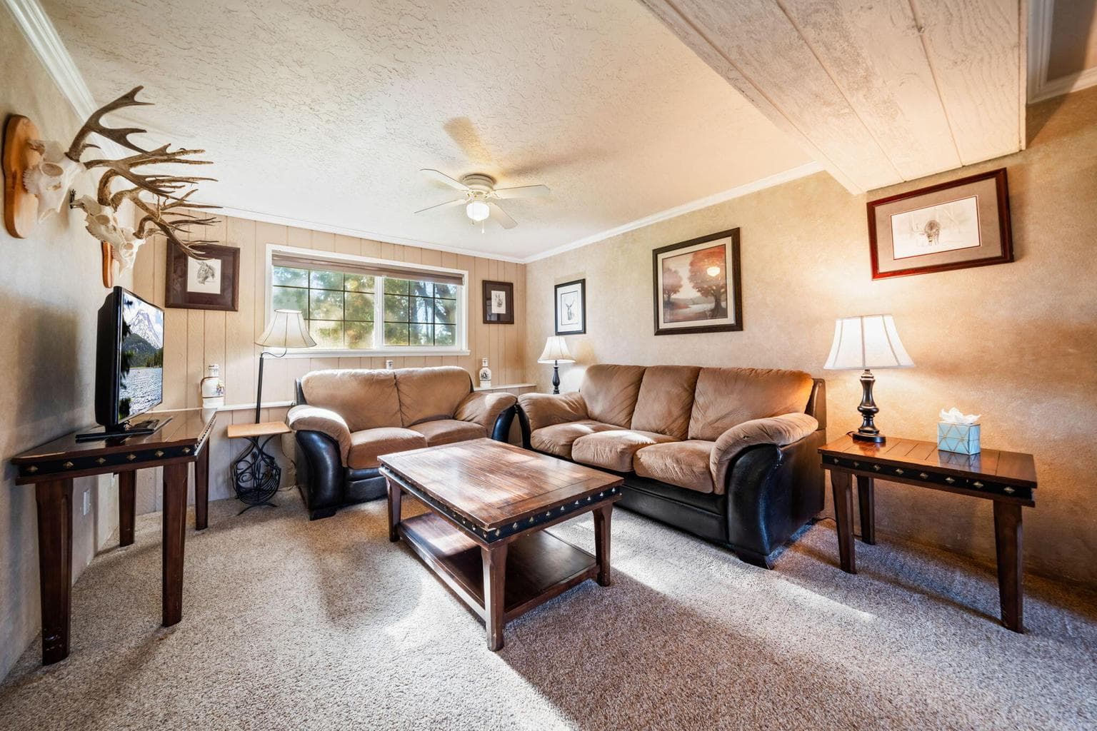 Lower Level family room