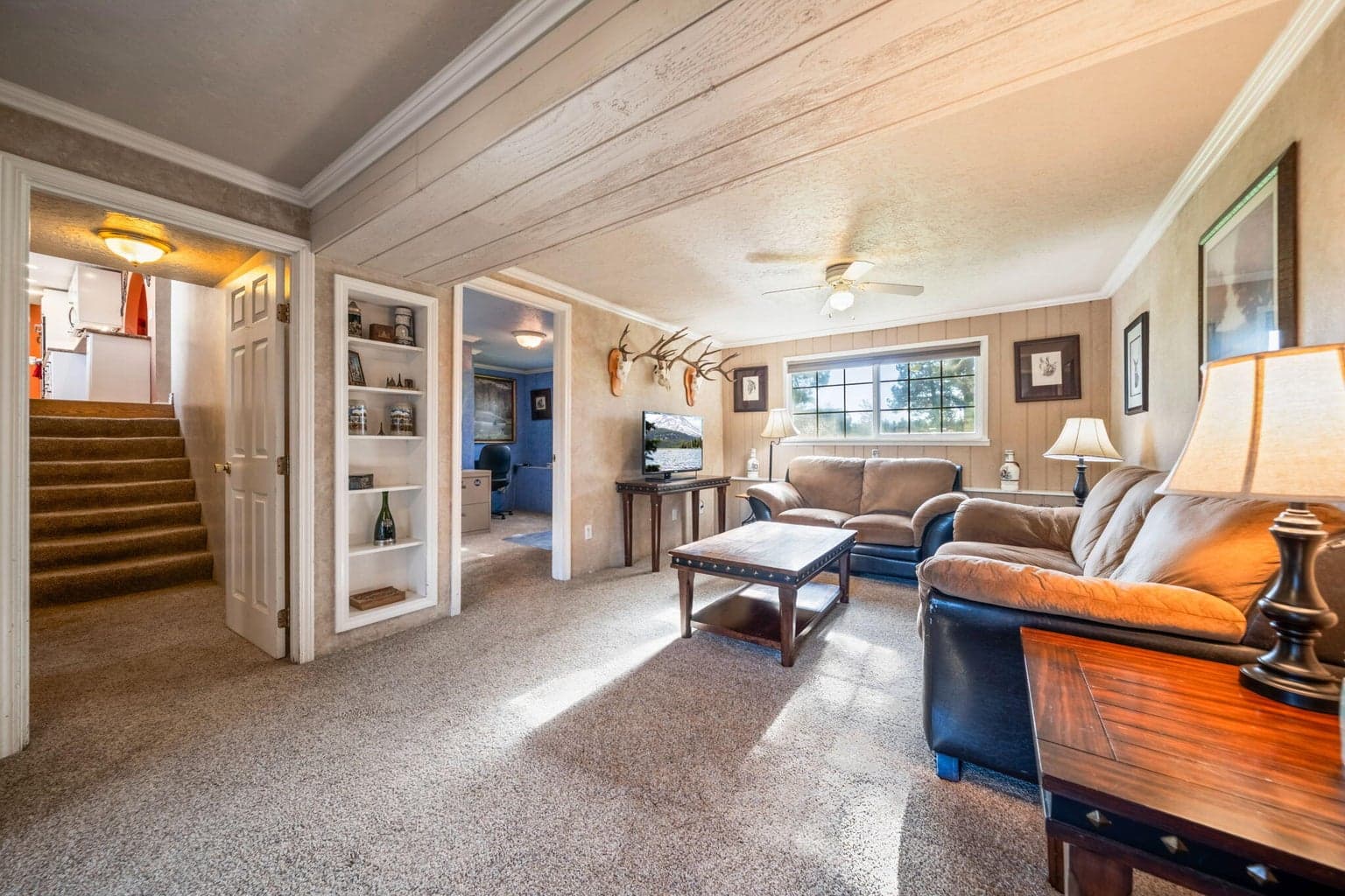Lower level family room