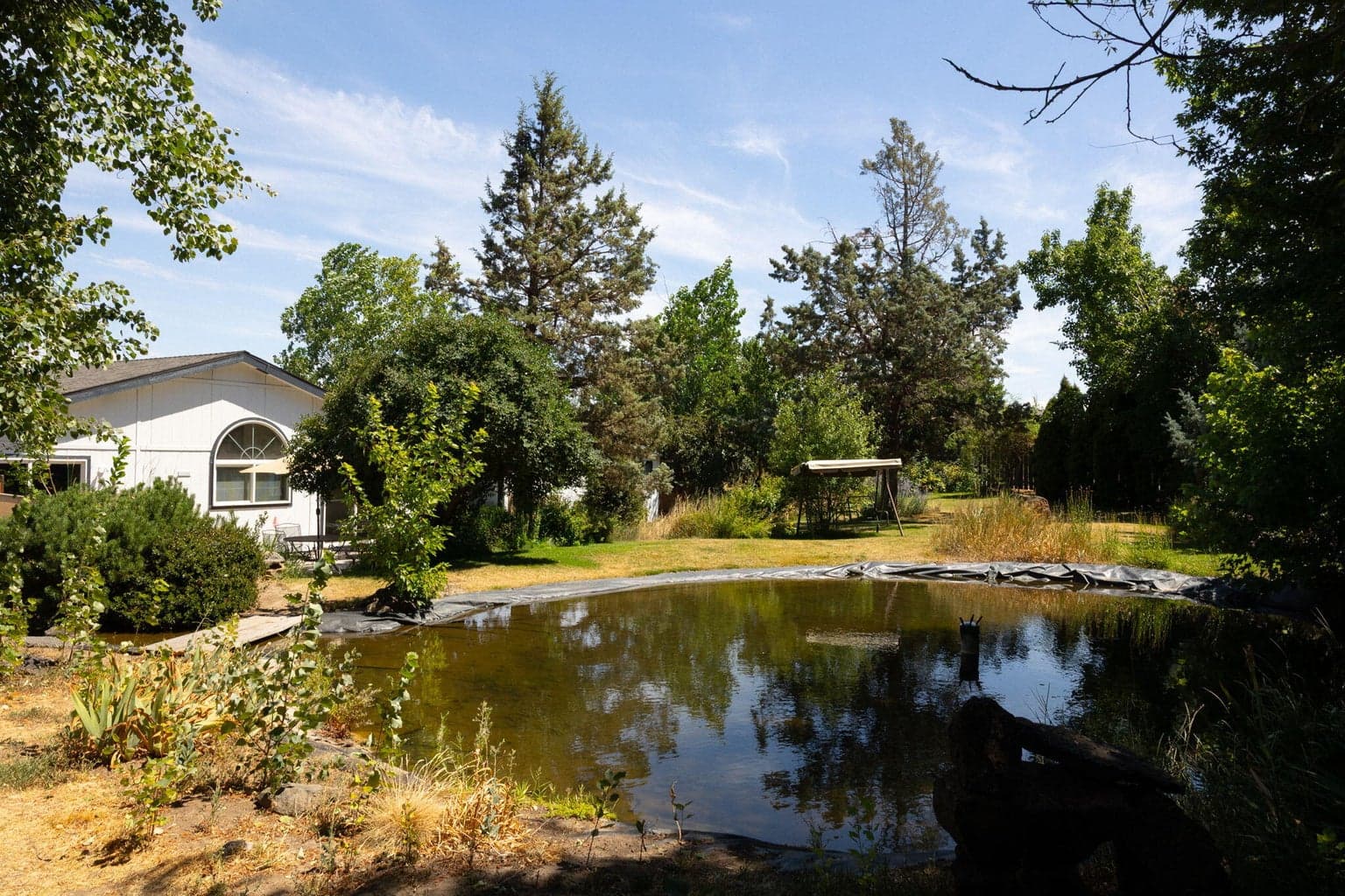 Photo of 2636 Mariposa 4 of 36
