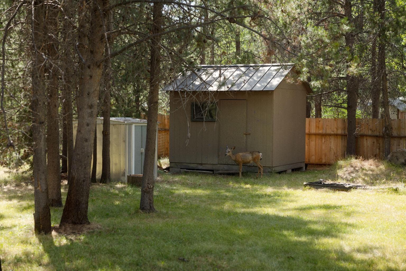 Photo of 55853 Osprey Road 26 of 44
