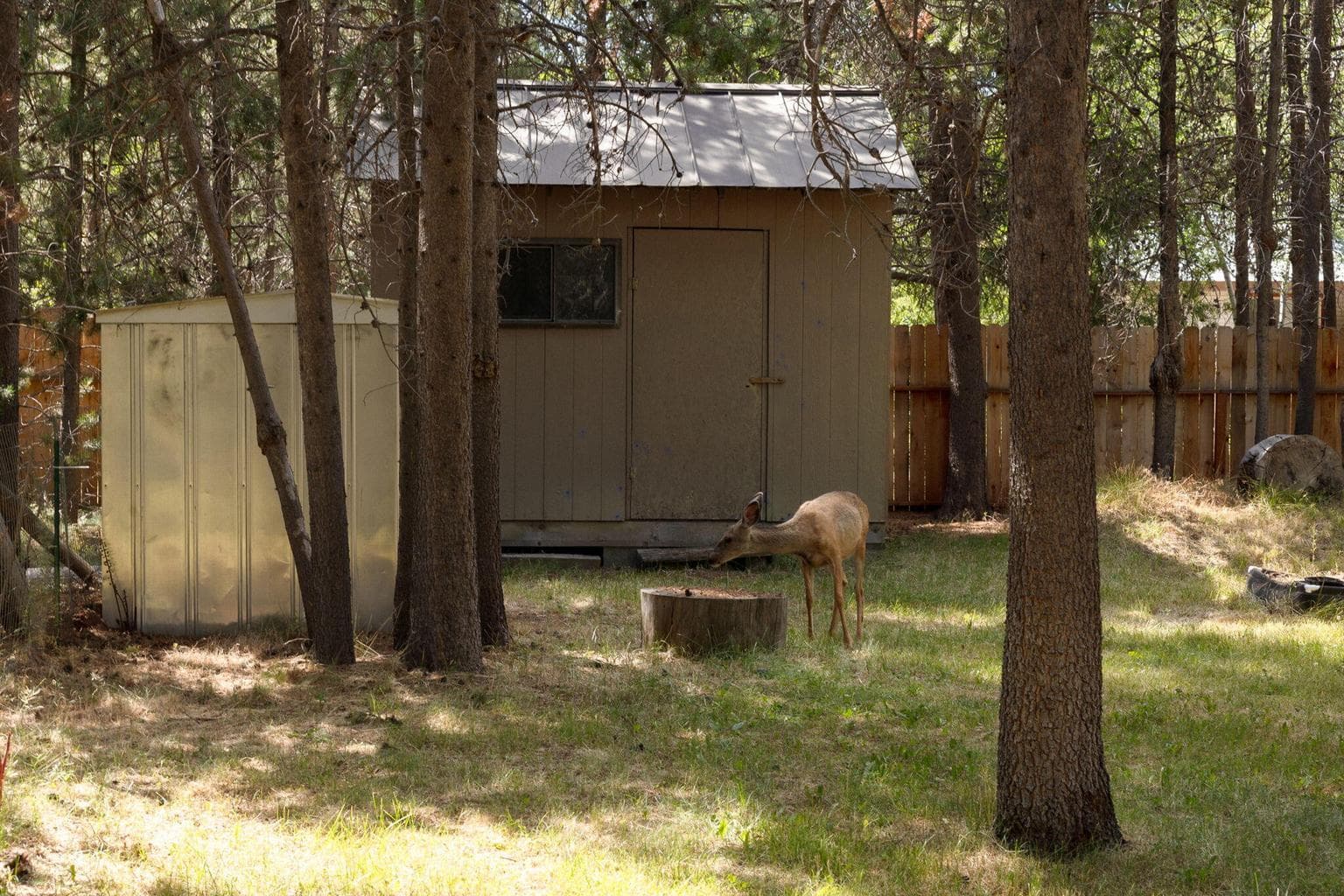 Photo of 55853 Osprey Road 27 of 44