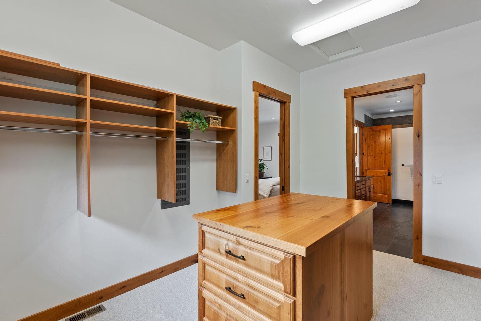 Primary closet