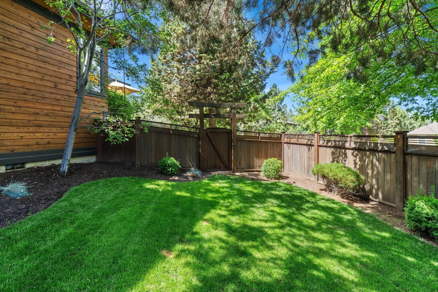 Fenced Back Yard