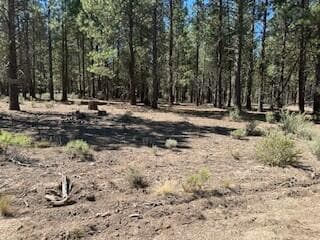 0 Gray Wolf, Sprague River, 97639