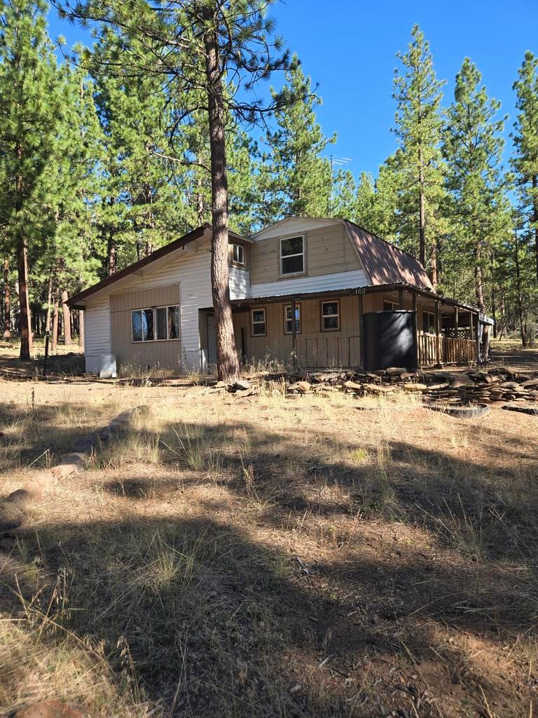 12174 Night Owl, Bonanza, 97623