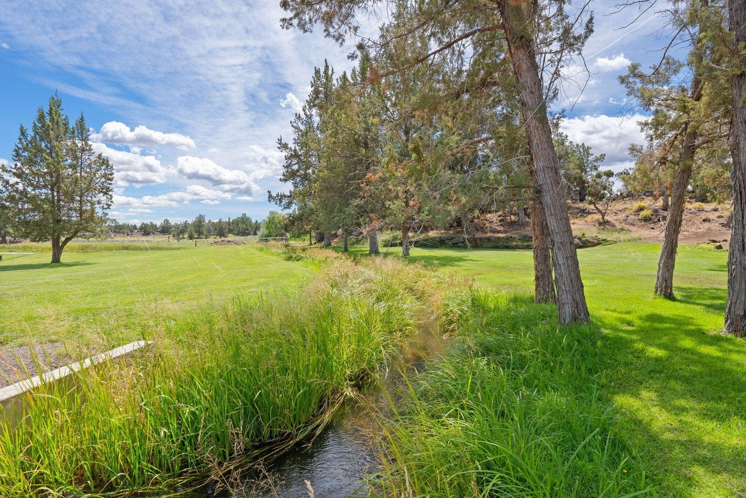 Photo of 62155 Cody Road 51 of 59