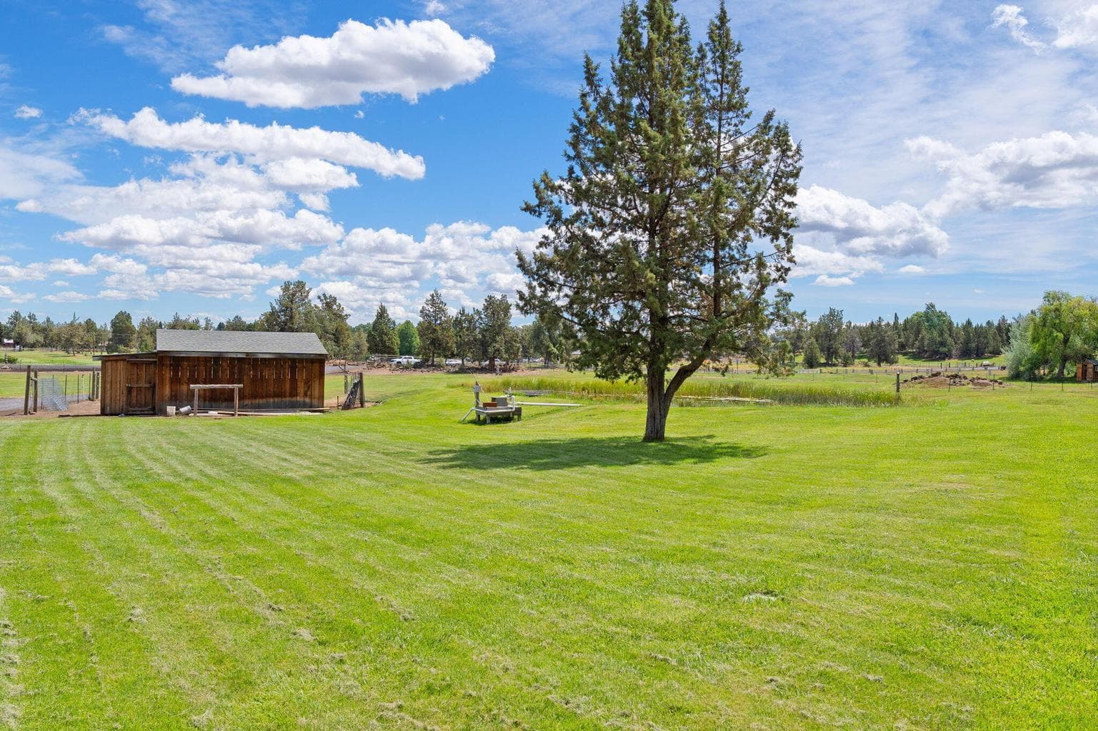 Photo of 62155 Cody Road 53 of 59