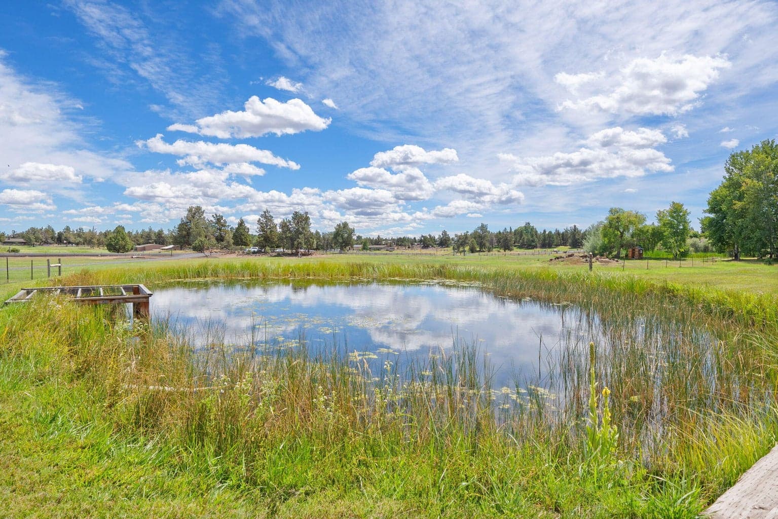 Photo of 62155 Cody Road 55 of 59