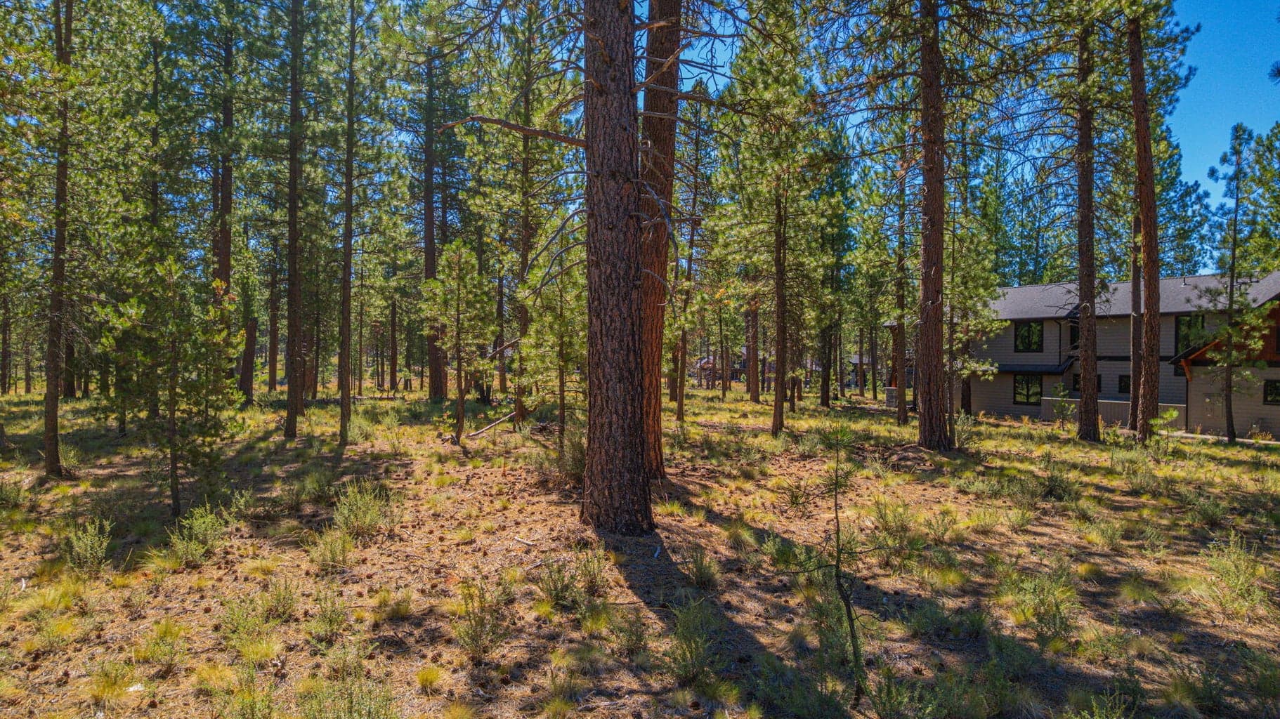 Photo of 56277 Elk Run 6 of 24