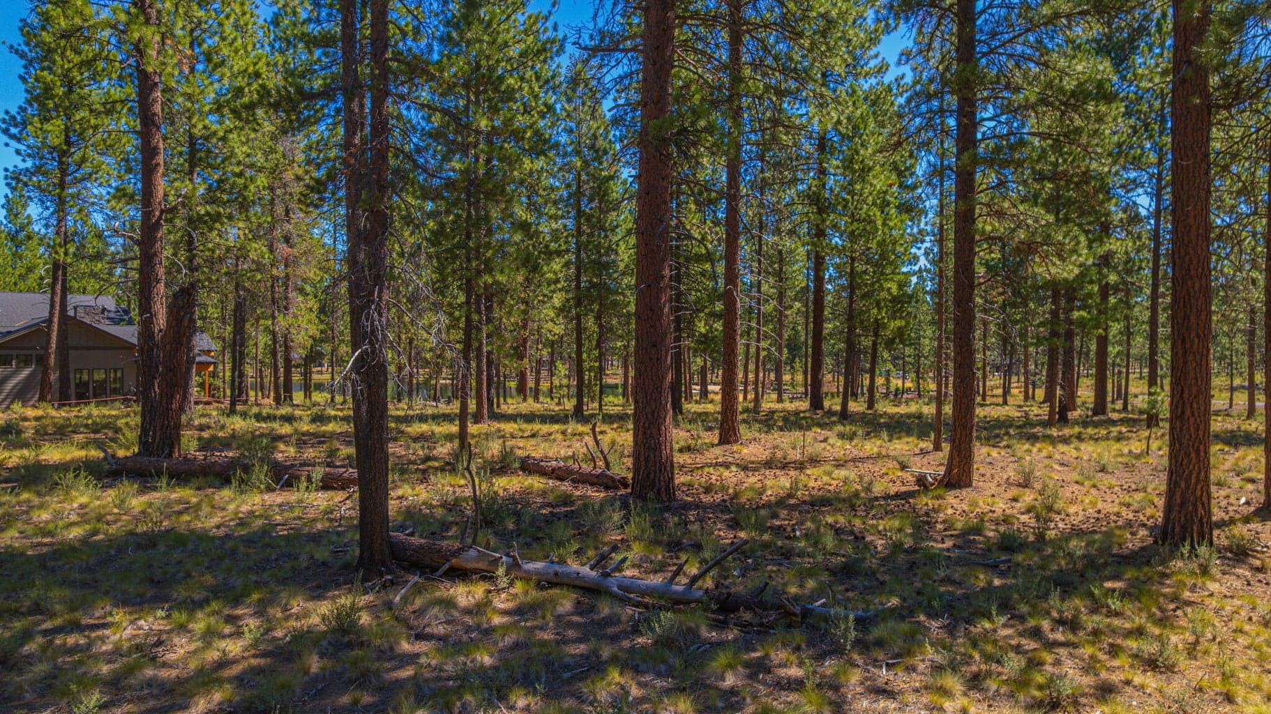 Photo of 56277 Elk Run Drive 7 of 24