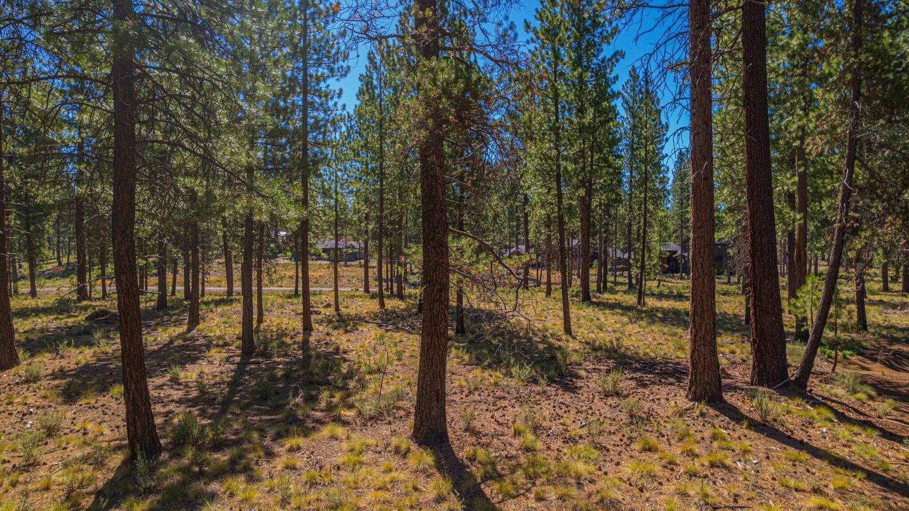 Photo of 56277 Elk Run Drive 8 of 24
