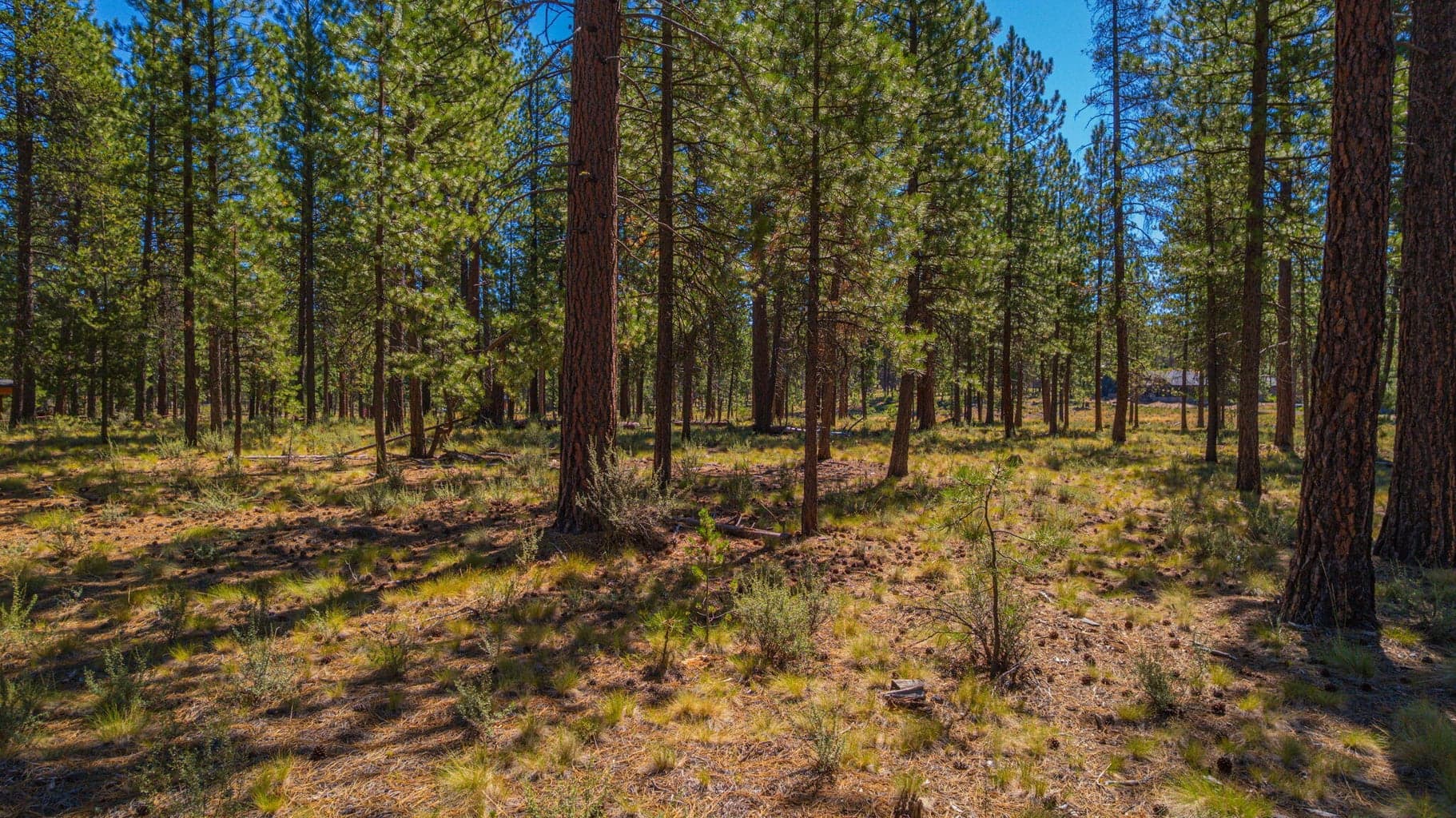Photo of 56277 Elk Run Drive 9 of 24