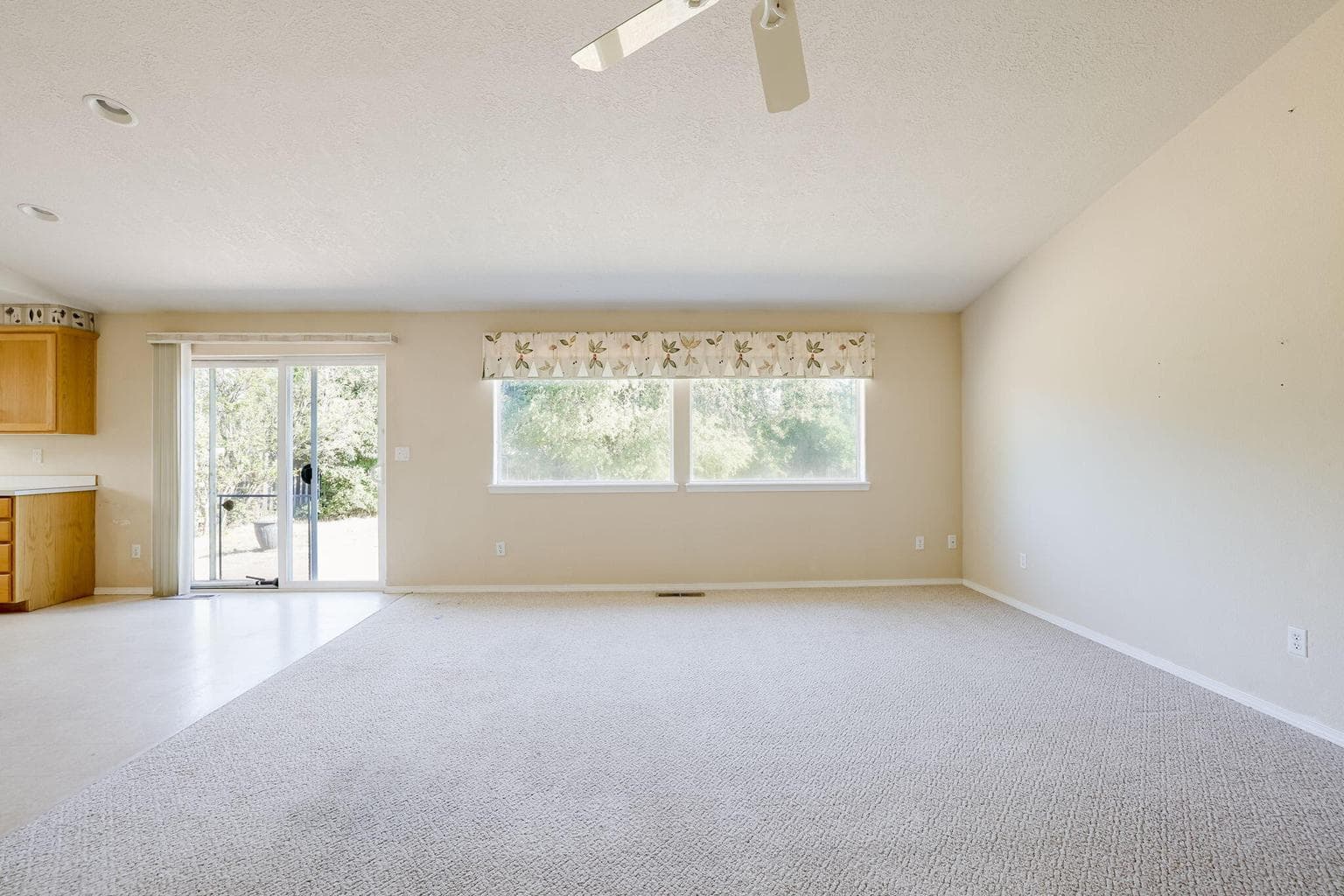 Living room/dining room